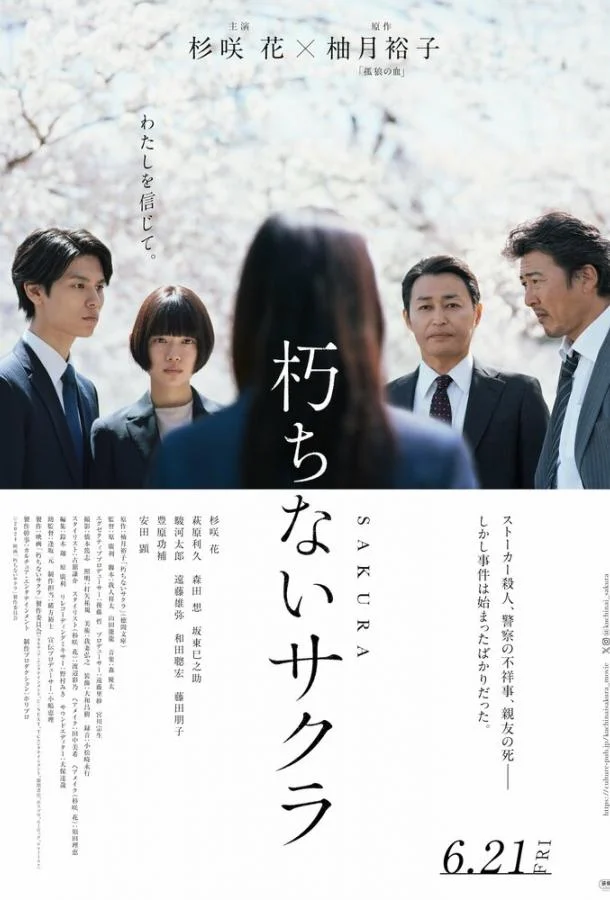 Вечная сакура 2024 смотреть фильм онлайн